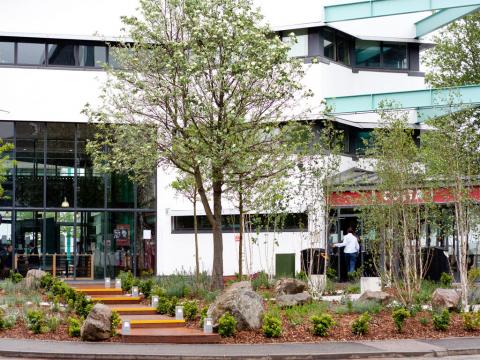 Well Being Garden - UEL