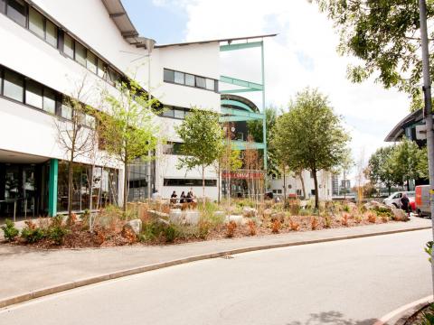 Well Being Garden - UEL