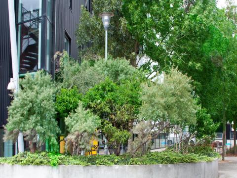 Well Being Garden - UEL